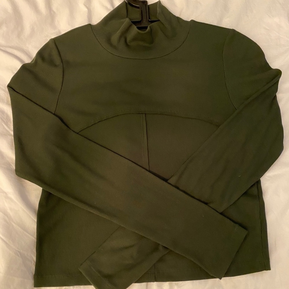 Aritzia -Wilfred Lucie Turtleneck
